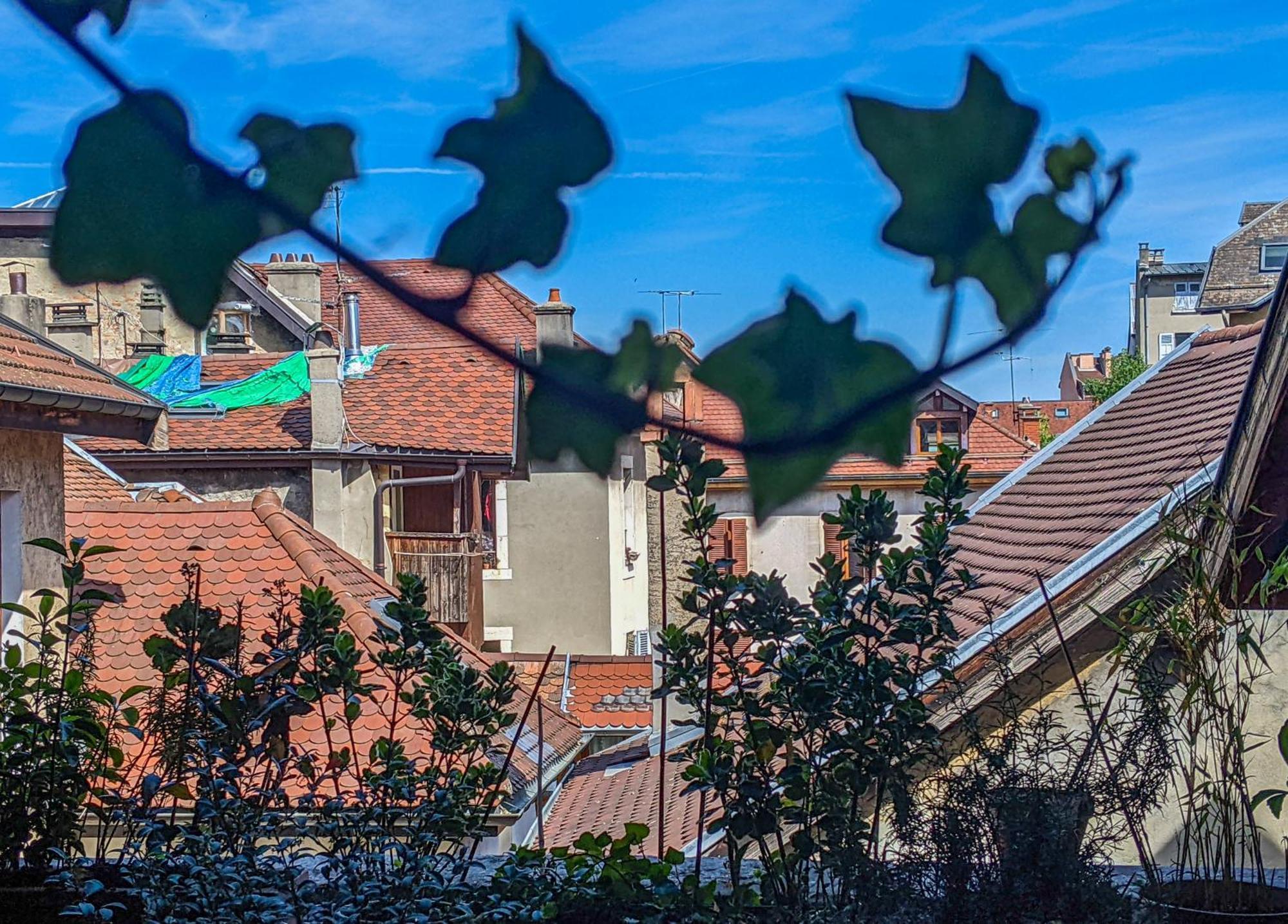 Nid Douillet Bed & Breakfast Annecy Bagian luar foto